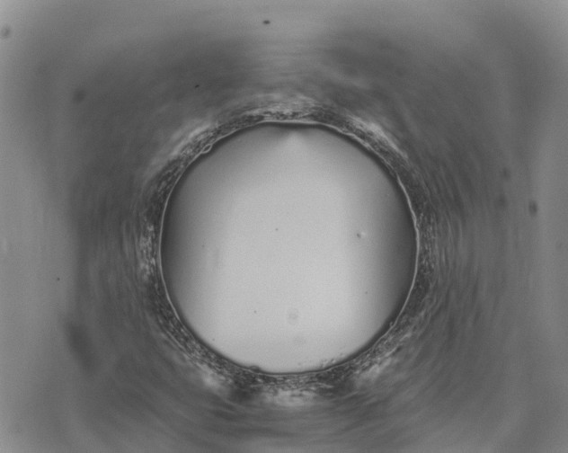 X0000073451399200608111338