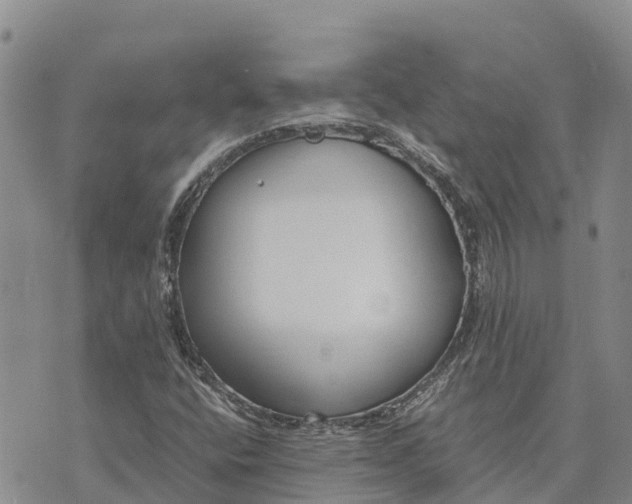 X0000073451400200608111338