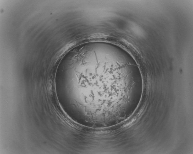 X0000073451401200608111338