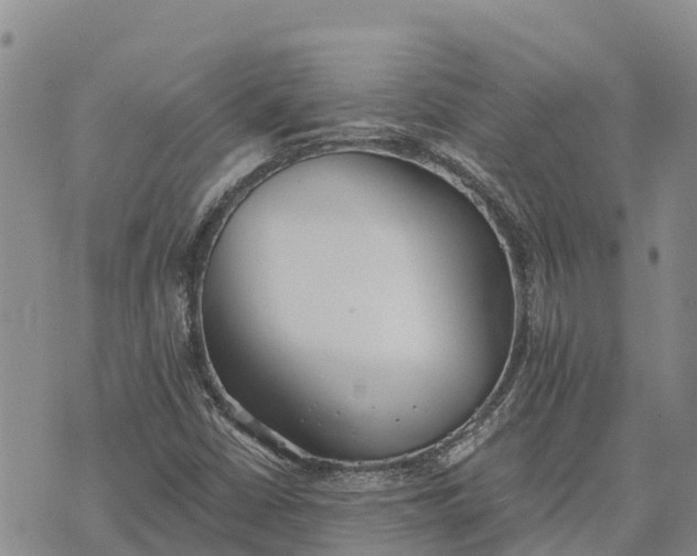 X0000073451402200608111338