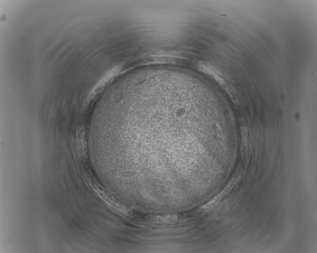 X0000073451403200608111338