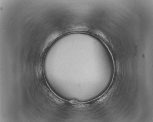 X0000073451405200608111339