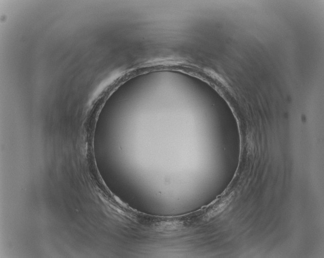 X0000073451406200608111339