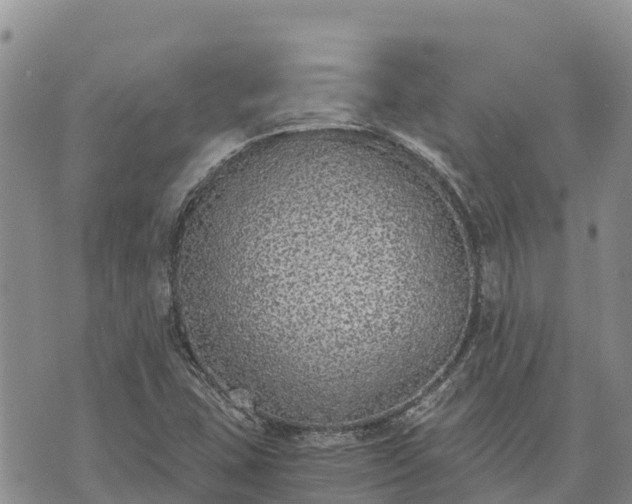 X0000073451407200608111339