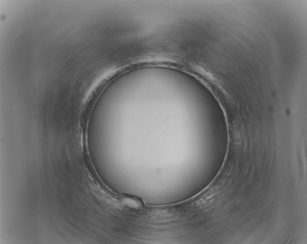 X0000073451408200608111339