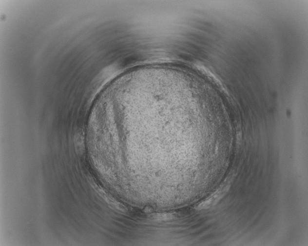 X0000073451409200608111339