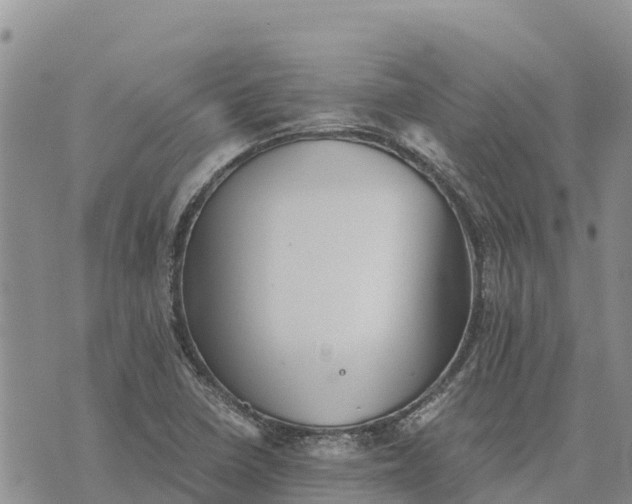 X0000073451410200608111339