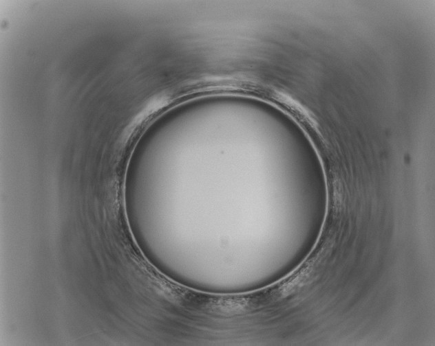 X0000073451411200608111339