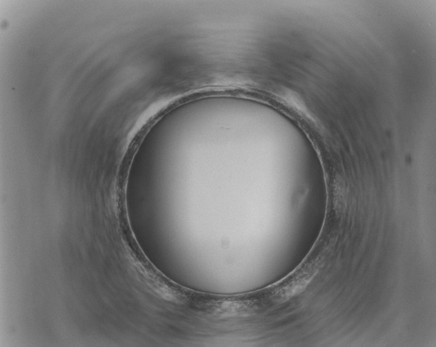 X0000073451412200608111339