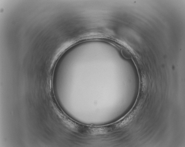 X0000073451413200608111339