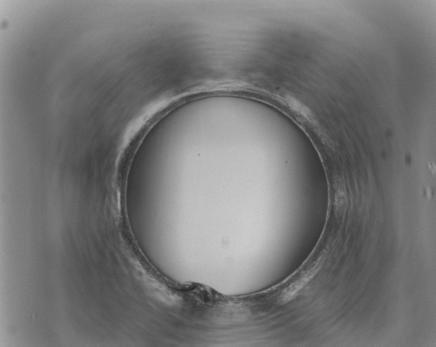 X0000073451414200608111339