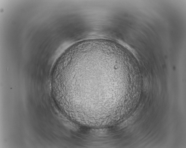 X0000073451415200608111339