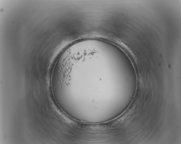 X0000073451416200608111339