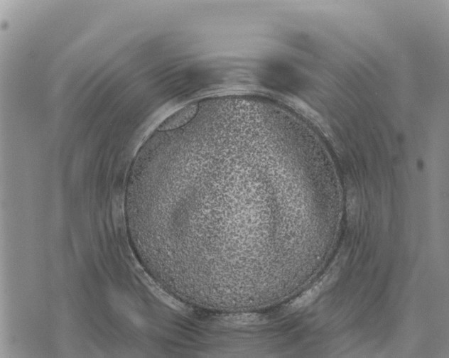 X0000073451417200608111339