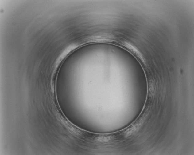 X0000073451419200608111339