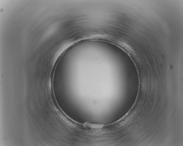 X0000073451420200608111339