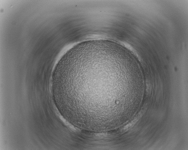 X0000073451421200608111339