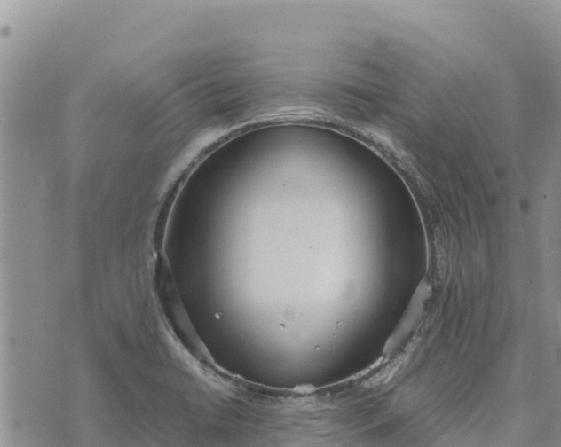 X0000073451422200608111339