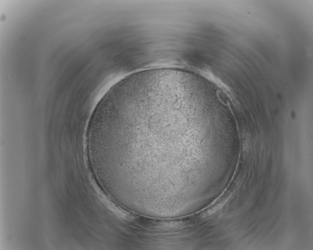 X0000073451423200608111339