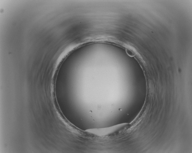 X0000073451424200608111339