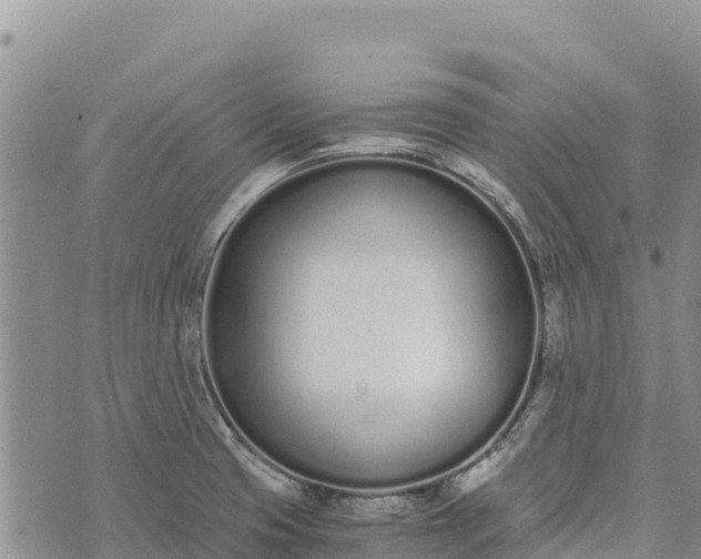 X0000073451425200608111339