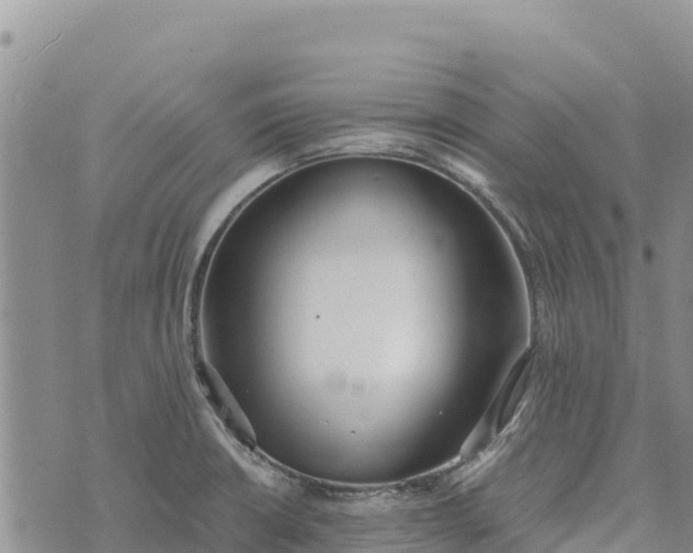 X0000073451426200608111339