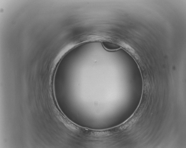 X0000073451427200608111339