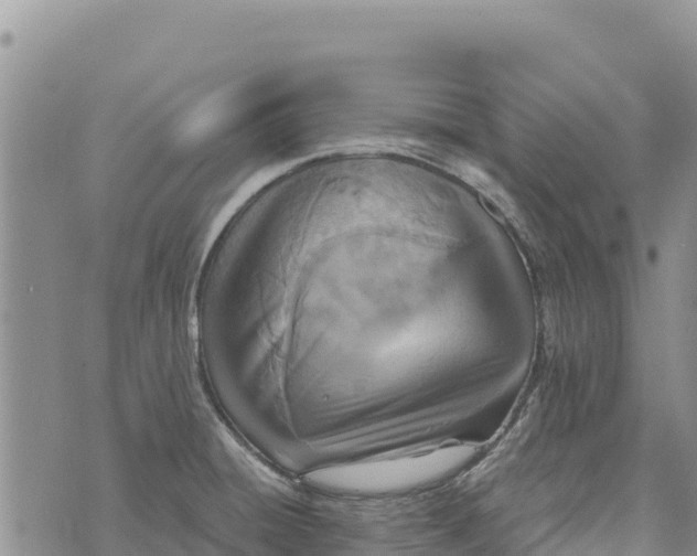 X0000073451428200608111339