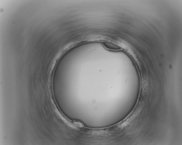 X0000073451429200608111339