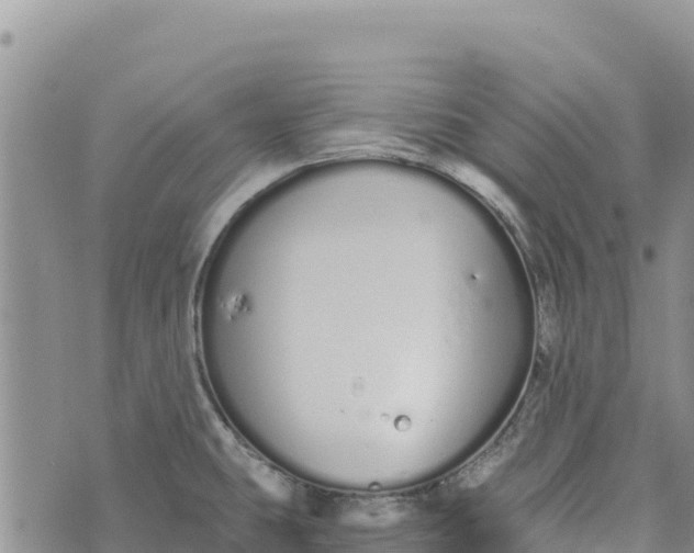 X0000073451431200608111339