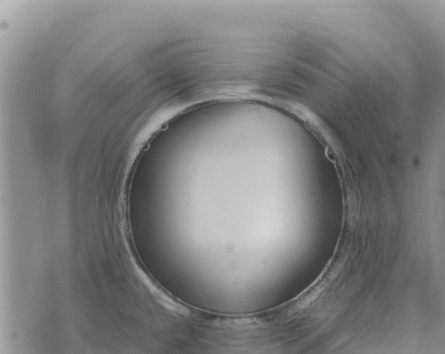 X0000073451432200608111339