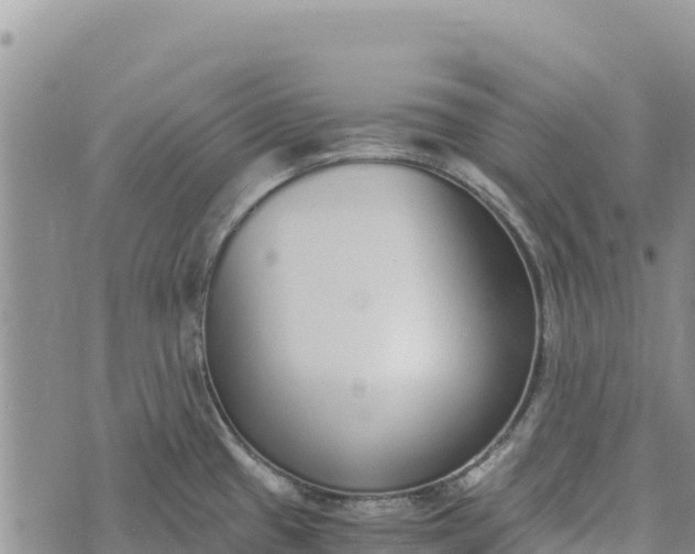 X0000073451433200608111339