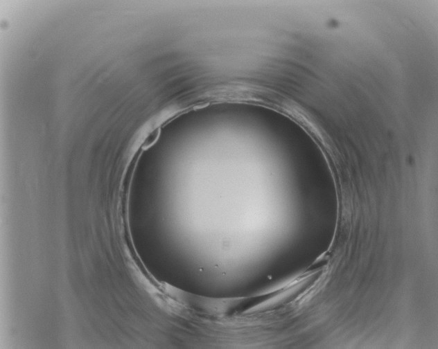 X0000073451434200608111339