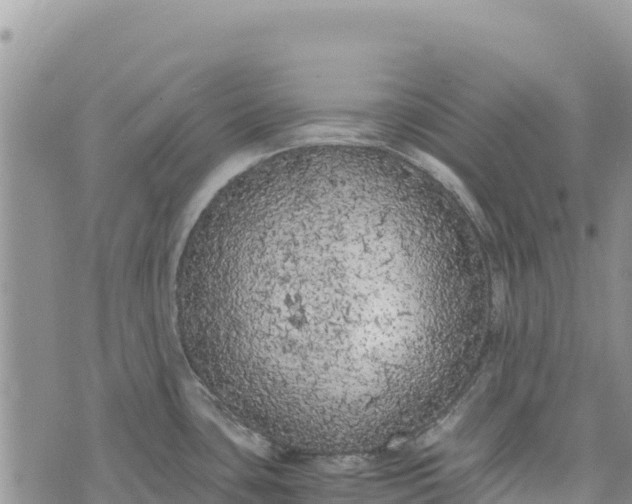 X0000073451435200608111339