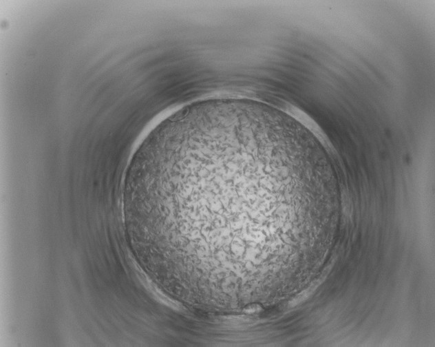 X0000073451436200608111339