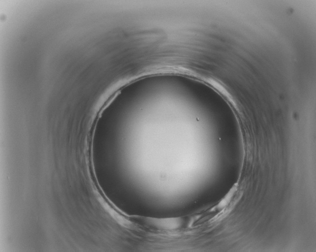 X0000073451438200608111339