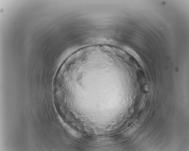 X0000073451439200608111339