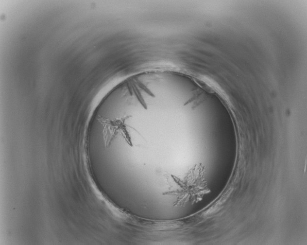 X0000073451440200608111339