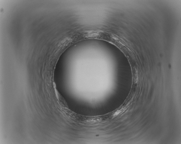 X0000073451441200608111338