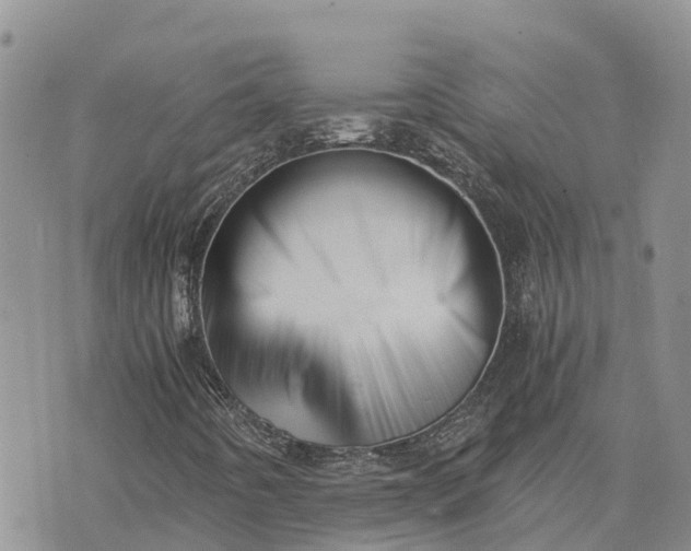 X0000073451442200608111338