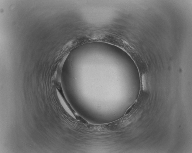 X0000073451443200608111338