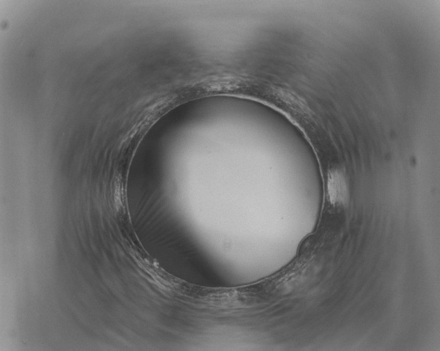 X0000073451444200608111338