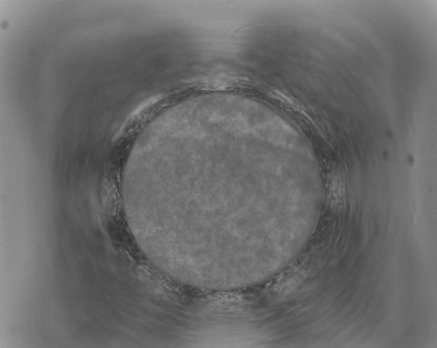 X0000073451446200608111338