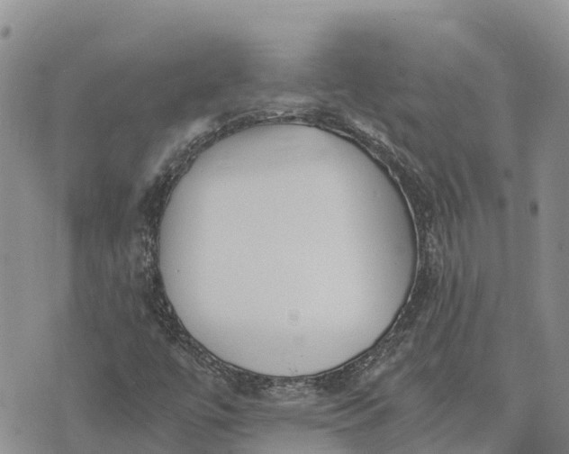 X0000073451447200608111338