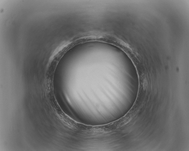 X0000073451448200608111338