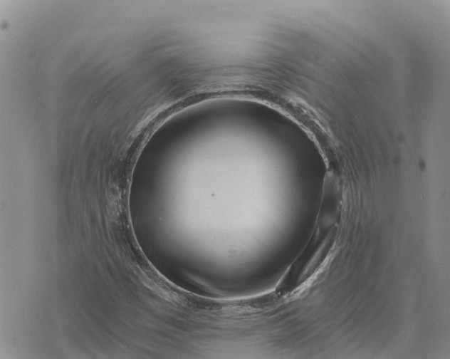 X0000073451449200608111338