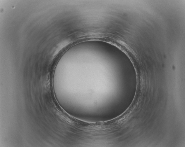 X0000073451450200608111338