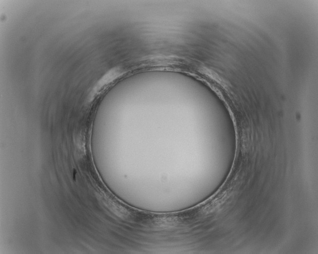 X0000073451451200608111338