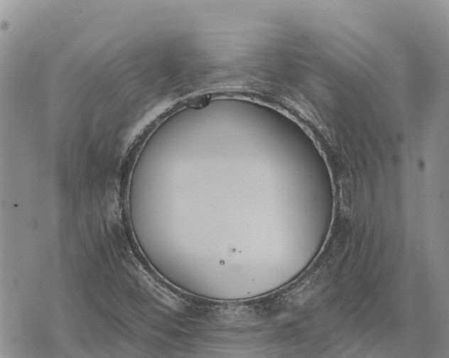 X0000073451452200608111338