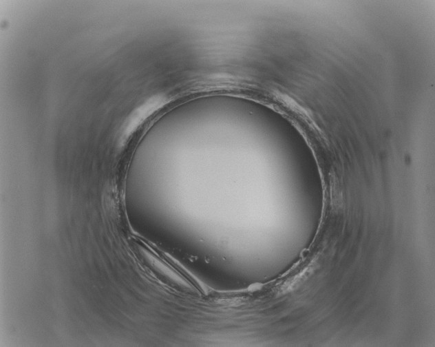 X0000073451453200608111338